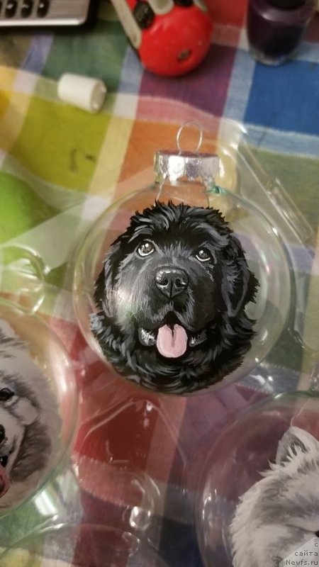 Фотография № 237386