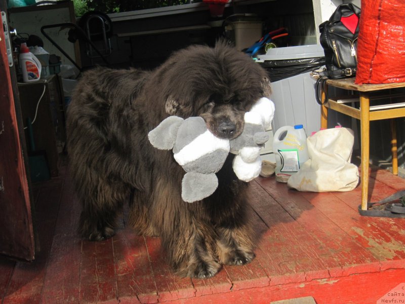 Фотография № 237424