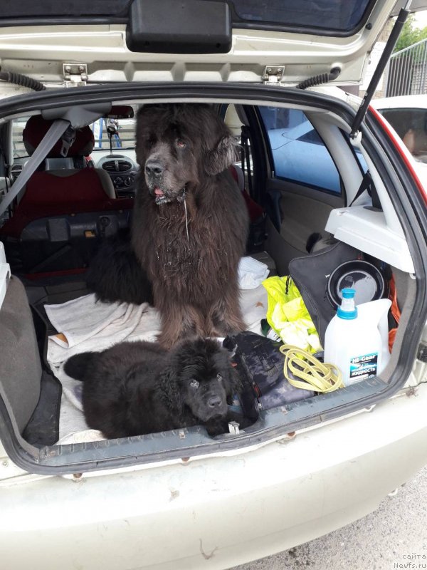 Фотография № 237427