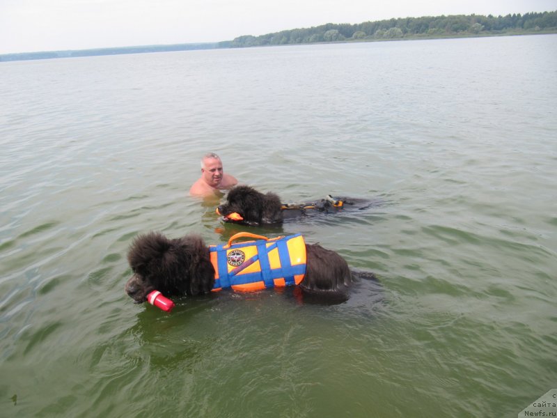 Фотография № 237432