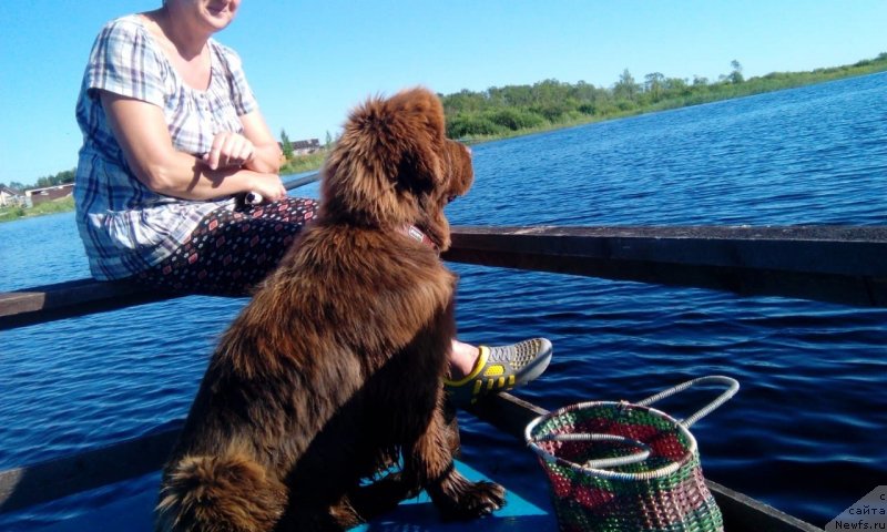 Фотография № 237462