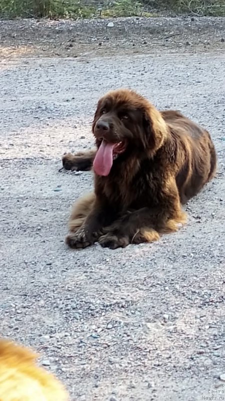 Фотография № 237469