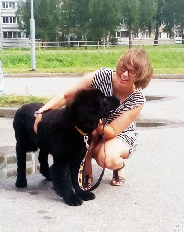 Фотография № 237476