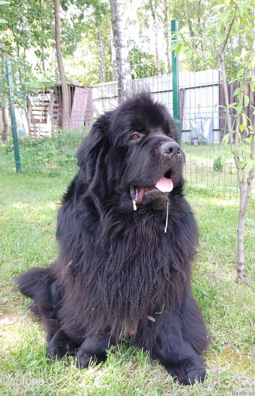 Фотография № 237483