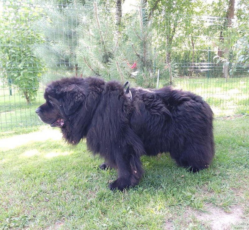 Фотография № 237484