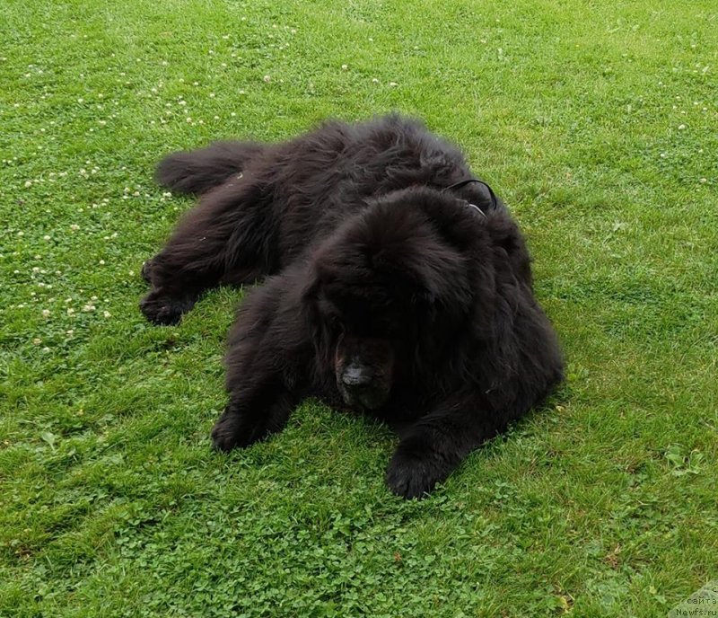 Фотография № 237485