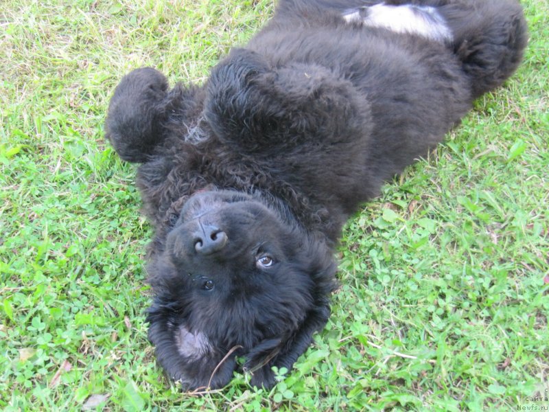 Фотография № 237495