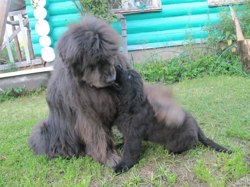 Фотография № 237499