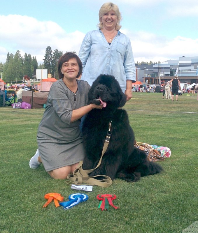 Фото: Ольга Грошева, ньюфаундленд Смигар Агдай Виртус (Smigar Agday Virtus), Ольга Зурахова