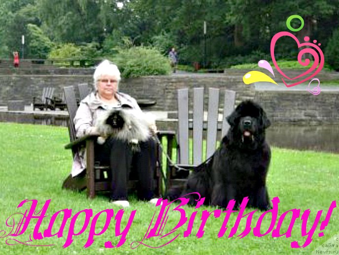 Фотография № 237518