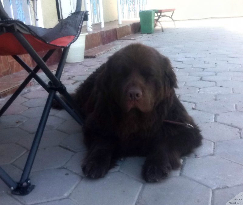 Фотография № 237519