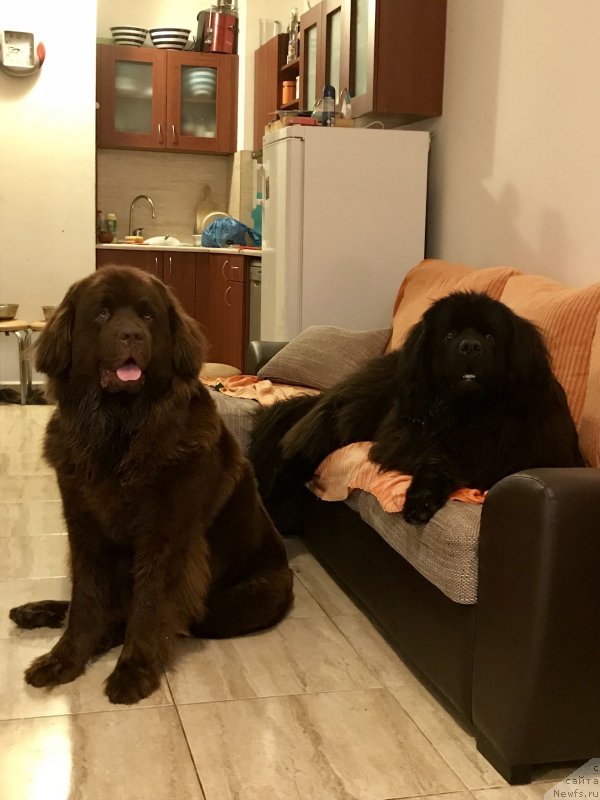 Фотография № 237527