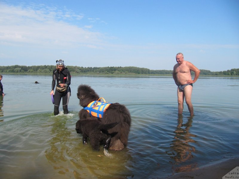 Фотография № 237547