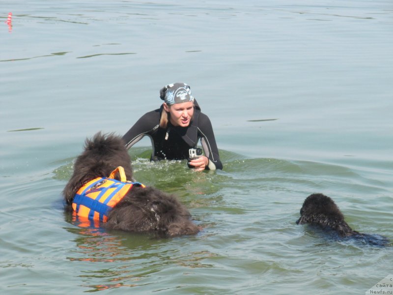 Фотография № 237551