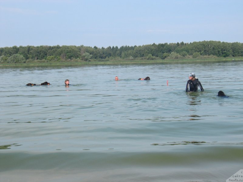 Фотография № 237554