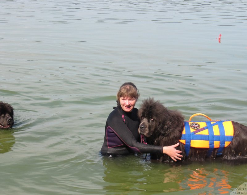 Фотография № 237558