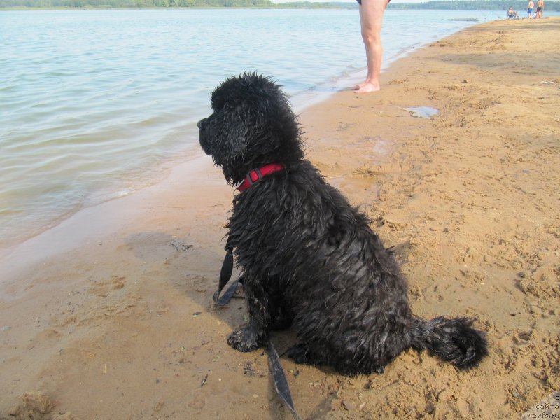 Фотография № 237568