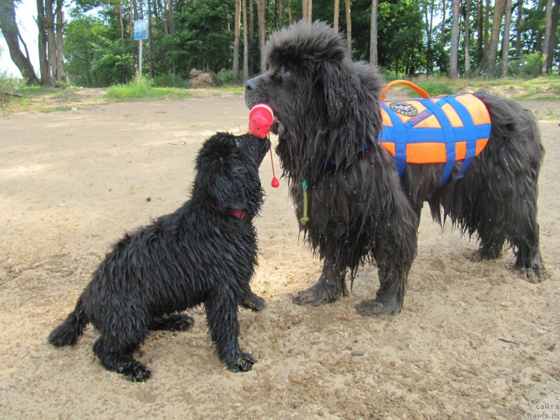 Фотография № 237569