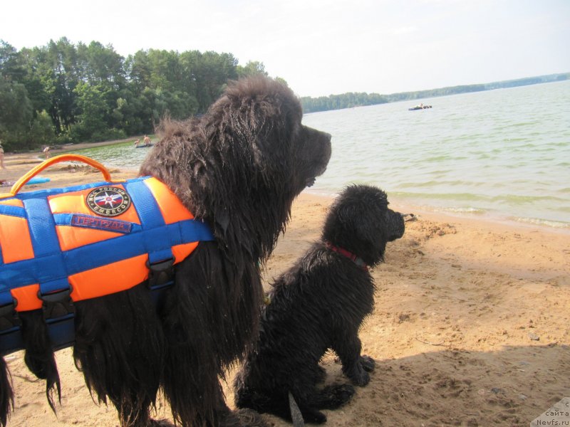 Фотография № 237572