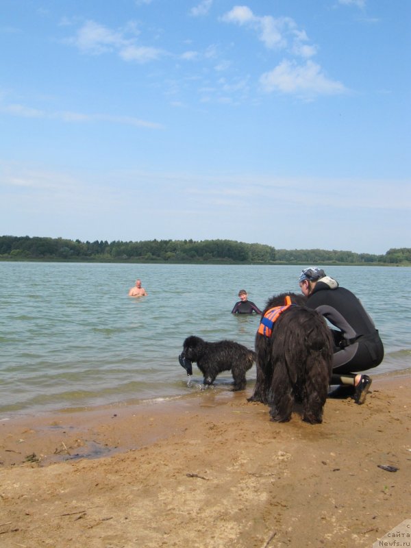 Фотография № 237574