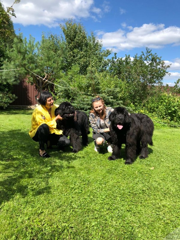 Фотография № 237577