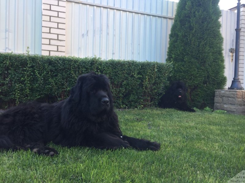 Фотография № 237578