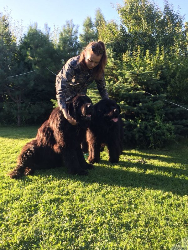 Фотография № 237580