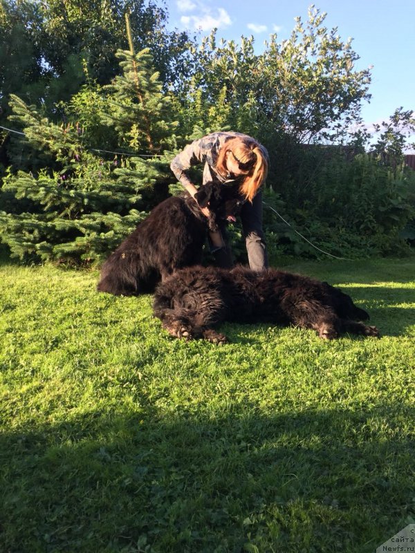 Фотография № 237581