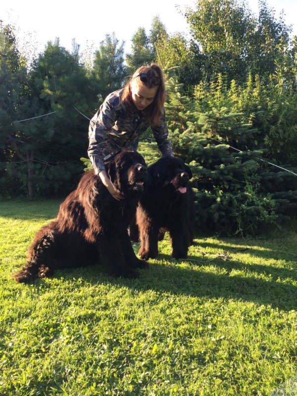 Фотография № 237582