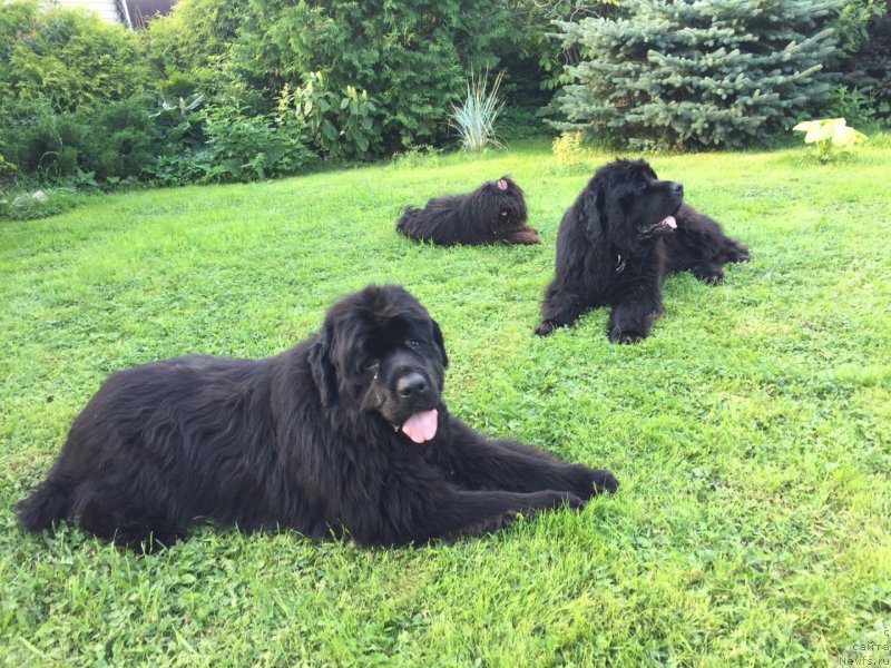 Фотография № 237583