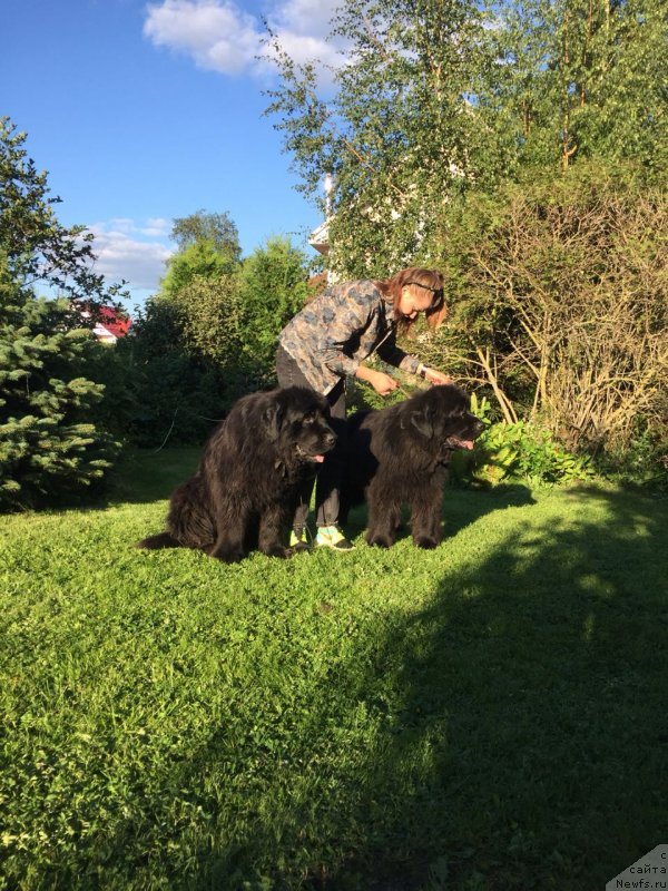 Фотография № 237584