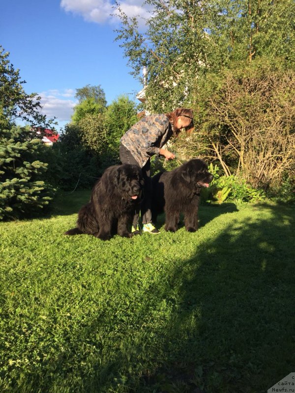 Фотография № 237585