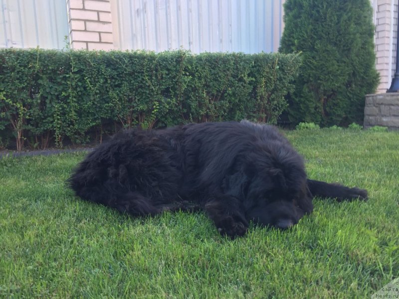 Фотография № 237586