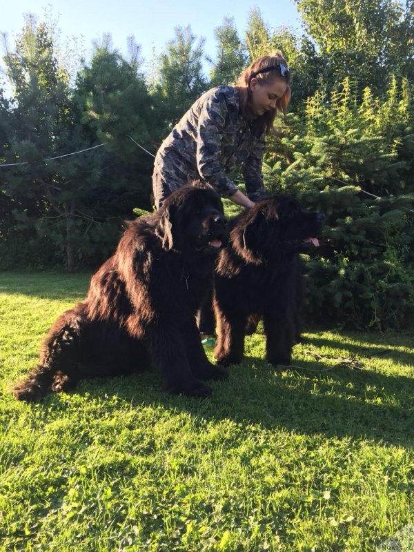 Фотография № 237587