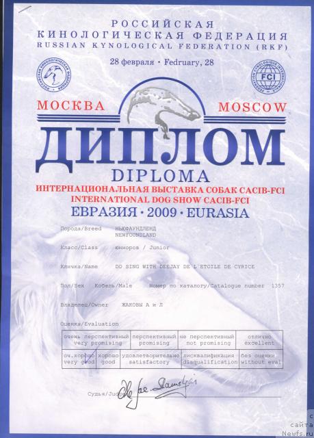 Фото: ньюфаундленд Do Sing With Deejay de L'Etoile de Cyrice