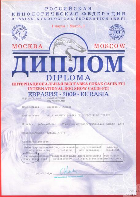 Фото: ньюфаундленд Do Sing With Deejay de L'Etoile de Cyrice