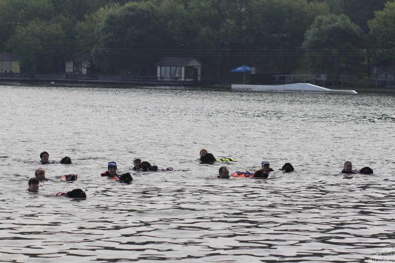 Фотография № 237634