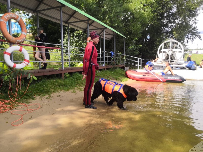 Фотография № 237636