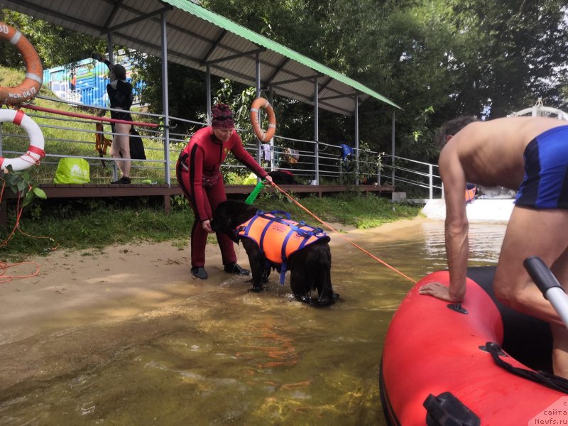 Фотография № 237637