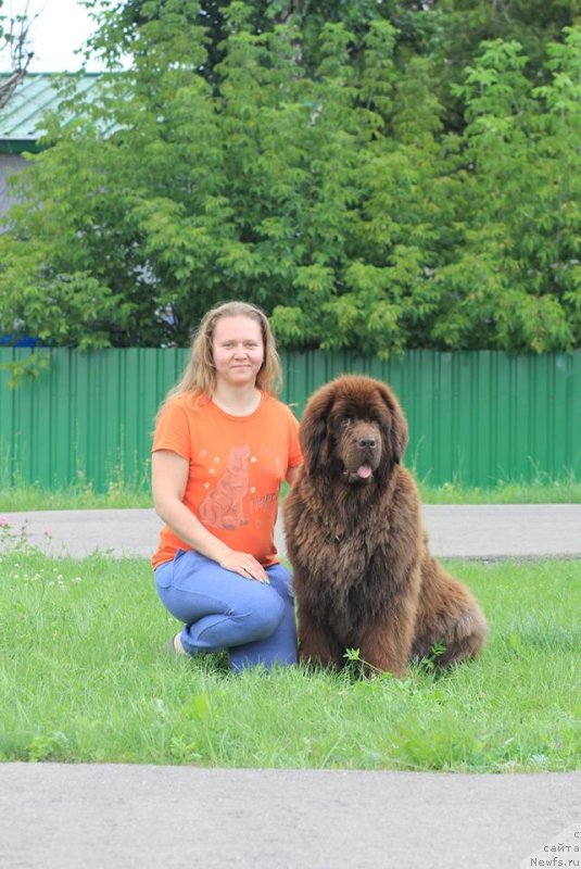 Фотография № 237640