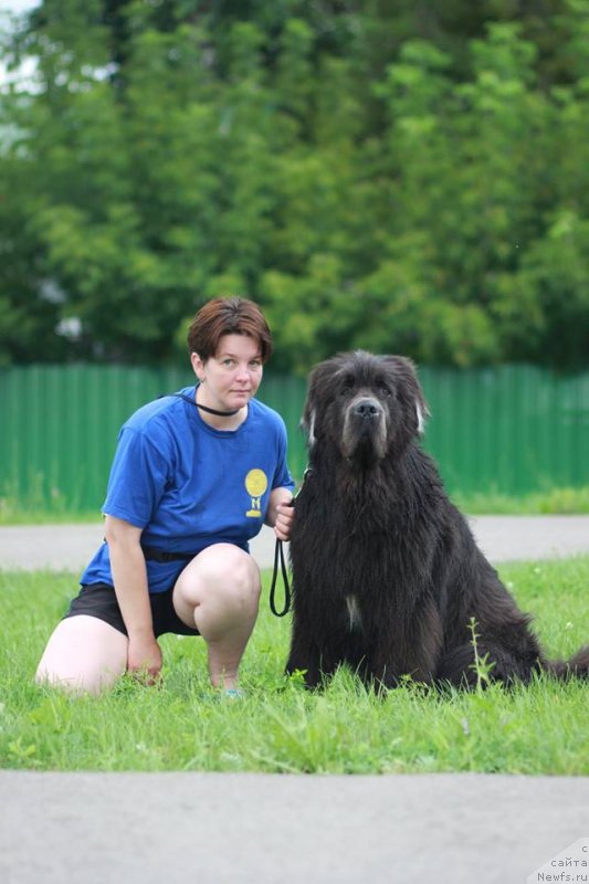 Фотография № 237644