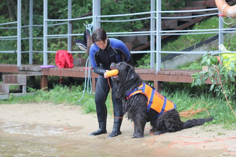 Фотография № 237645