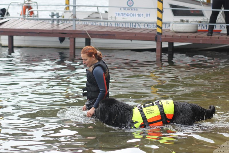 Фотография № 237652