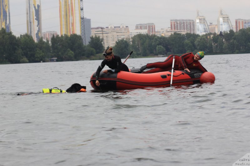 Фотография № 237653