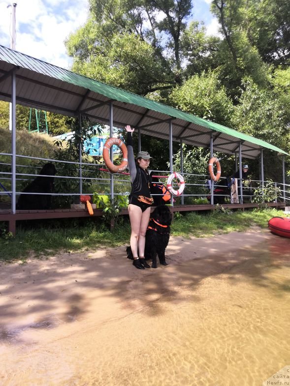 Фотография № 237666