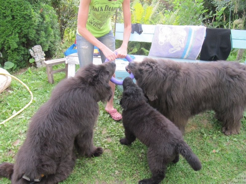 Фотография № 237676