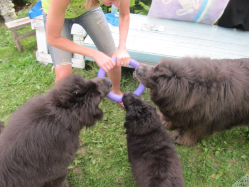 Фотография № 237677