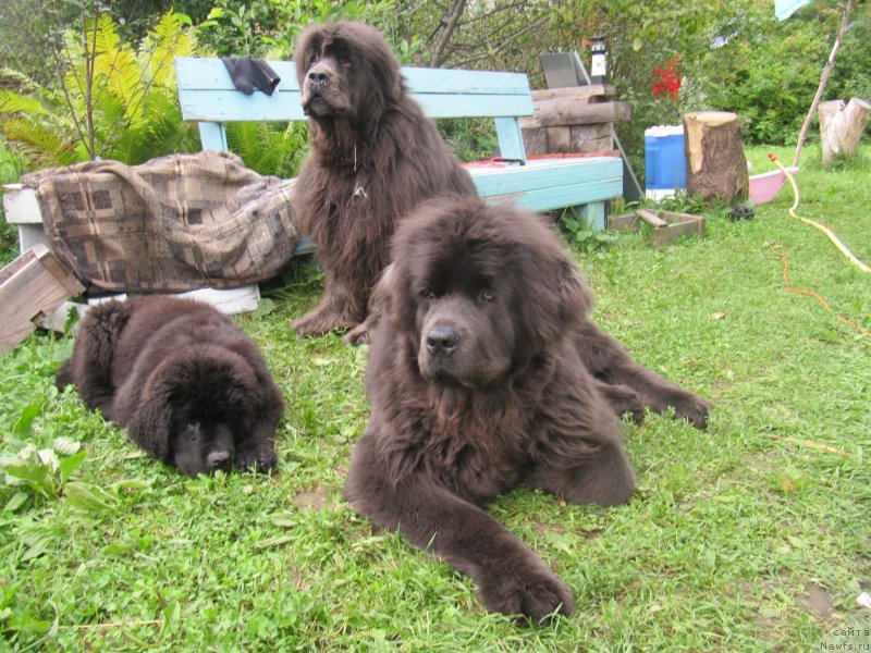 Фотография № 237678