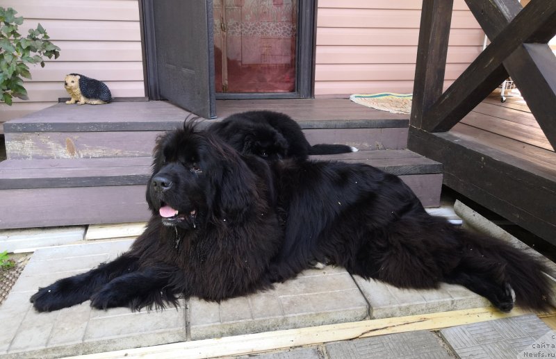 Фотография № 237693