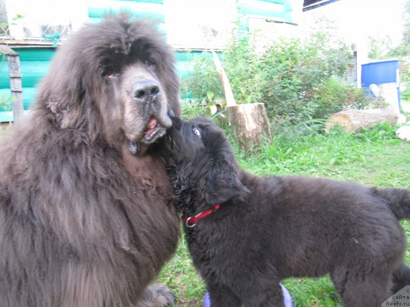 Фотография № 237696